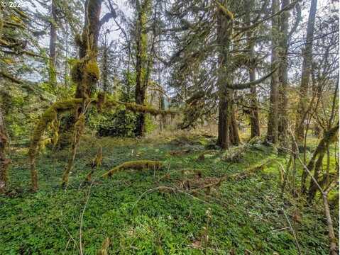 0 E Plaza Trail, Welches, OR 97067