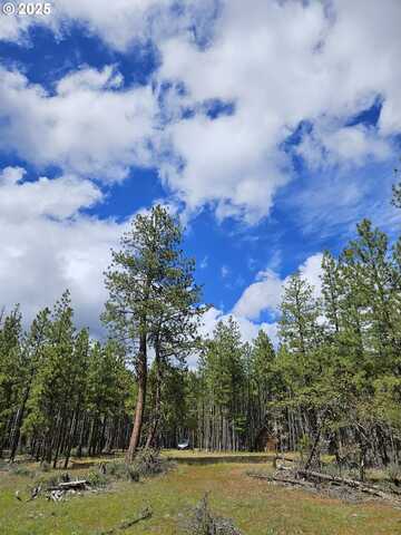 Lot 2 Hawks Wind, Goldendale, WA 98620
