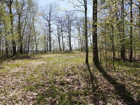 66535 Co Rd 533, Effie, MN 56639