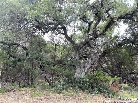 303 Windy Hill, Spring Branch, TX 78070
