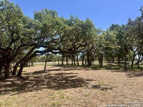 288 Scenic Cyn, New Braunfels, TX 78132