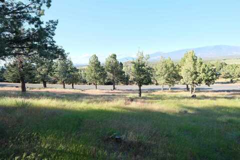 Unit 9-1 Lot 53 Palomino Rd, Weed, CA 96094