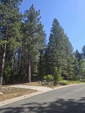 Unit 3 Lot 21 Paul's Place/Siskiyou Lake Highlands, Mount Shasta, CA 96067