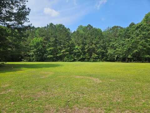 141 Woodlake Drive, Manning, SC 29102