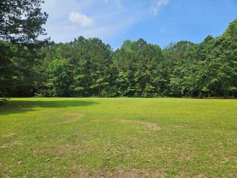 141 Woodlake Drive, Manning, SC 29102