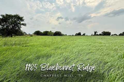 1185 Bluebonnet Ridge Drive, Chappell Hill, TX 77426