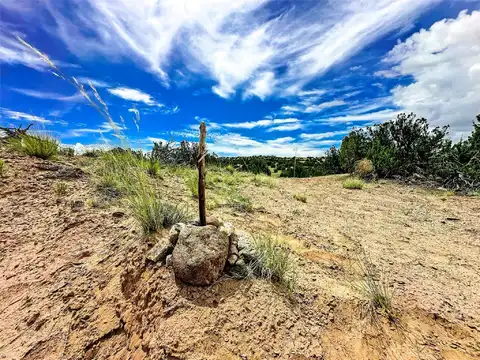 Tbd Fort Defina Road, Lot 165 4.93 Acres, Medanales, NM 87548