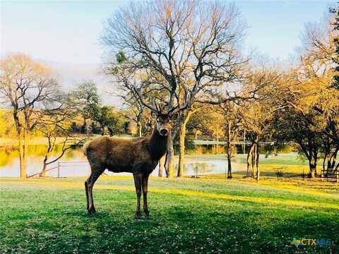 6101 County Road 208, Lampasas, TX 76550