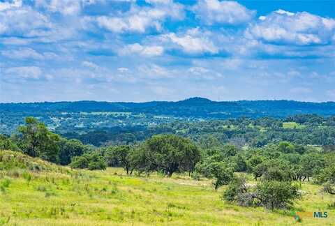 0000 Gibson-Best Road, Hye, TX 78635
