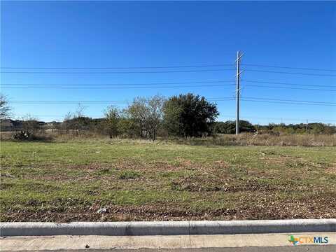 1913 Slade Drive, Salado, TX 76571
