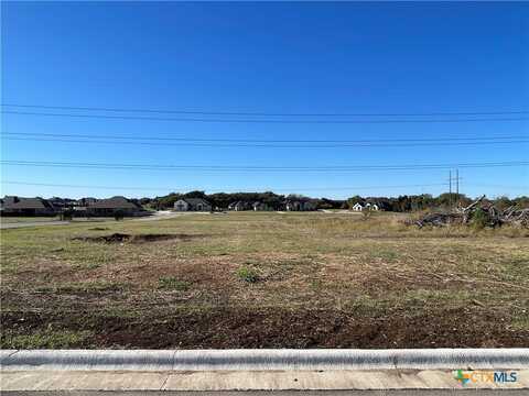 1925 Slade Drive, Salado, TX 76571