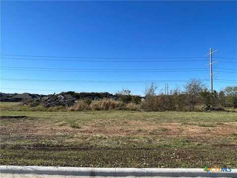 1919 Slade Drive, Salado, TX 76571