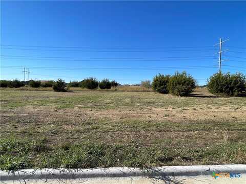 1955 Slade Drive, Salado, TX 76571