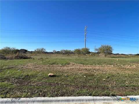 1949 Slade Drive, Salado, TX 76571