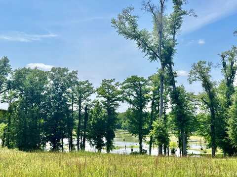 170 Back of the Moon, Brinson, GA 39825
