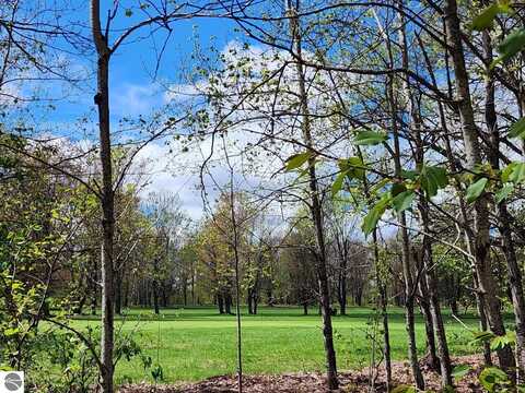 TBD Fairway Hollow, Mancelona, MI 49659
