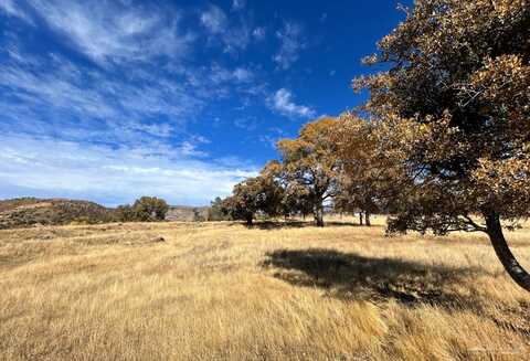 20808 Schell Ranch Road, Caliente, CA 93518