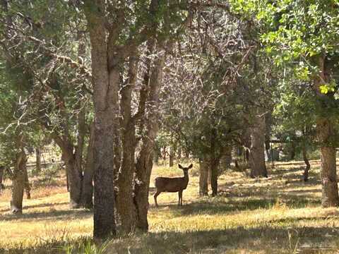 19777 Country Oaks Street, Tehachapi, CA 83561
