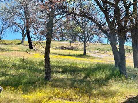 0 Piute Meadows Road, Caliente, CA 93518