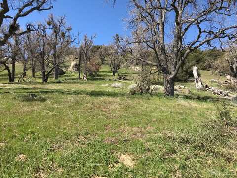 30341 Starland Drive, Tehachapi, CA 93561