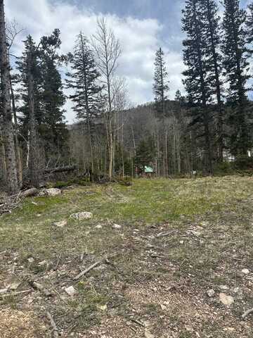 Upper Red River Valley Road, Red River, NM 87558