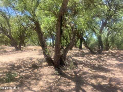 1015 W Patton Street, Saint David, AZ 85630