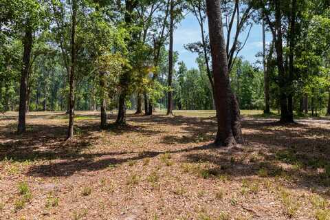 91 W 7th Way, Greenville, FL 32331