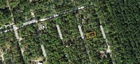 Chicopee Road, Crawfordville, FL 32327