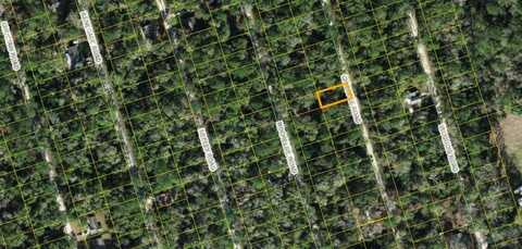 X Chicopee Road, Crawfordville, FL 32327