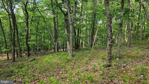 0 DRY RUN RD/ POLECAT HOLLOW RD, MERCERSBURG, PA 17236