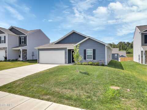 1245 Cherry Grove, Greeneville, TN 37745