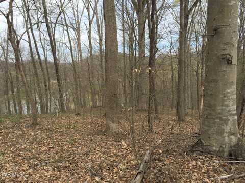 00 Horseshoe Bend Road, Rogersville, TN 37857