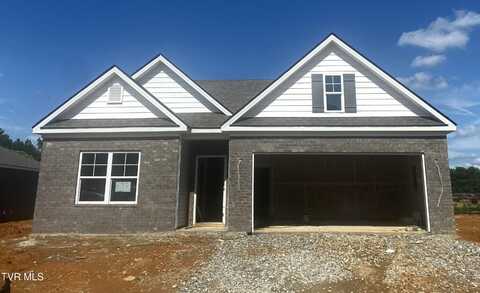 184 Tanasqui Drive, Johnson City, TN 37604