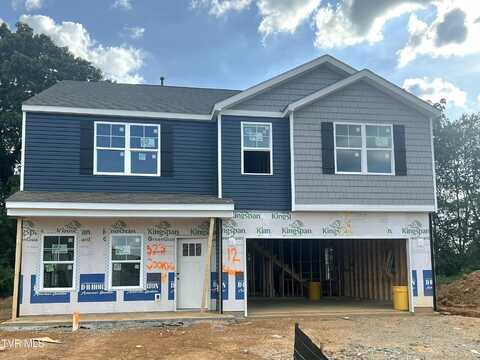 323 Cookie Loop, Gray, TN 37615