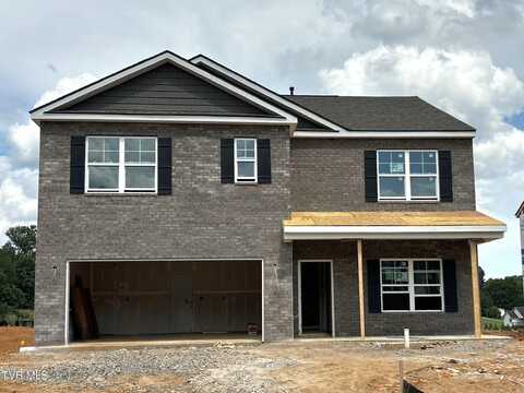 176 Tanasqui Drive, Johnson City, TN 37604