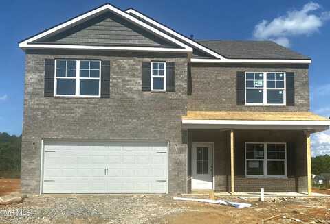 172 Tanasqui Drive, Johnson City, TN 37604