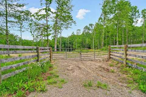 15.4ac Mt Helen Rd, Allardt, TN 38504