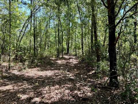 0 Highway 135, Naylor, GA 31641
