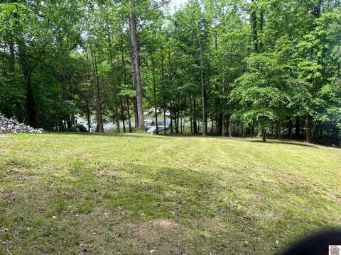 10 Chelsea Dr, Eddyville, KY 42038