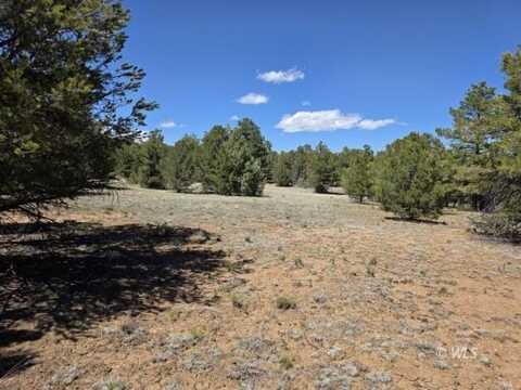 TBD 7th Trail, Cotopaxi, CO 81223