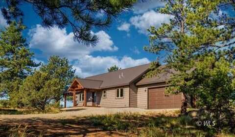 1699 Sangre Dr, Westcliffe, CO 81252