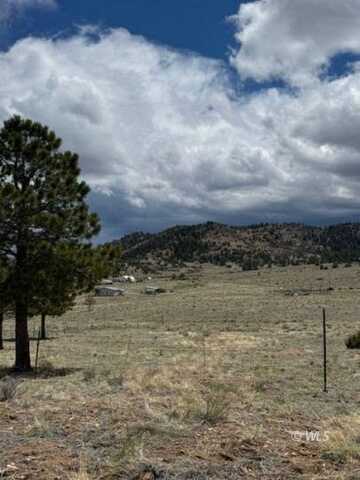 1212 Marcey Road, Westcliffe, CO 81252