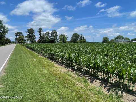 1408 S Nc Highway 343 S, Shiloh, NC 27974