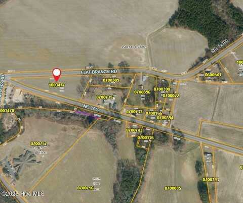Tbd Flat Branch Road, Gatesville, NC 27938