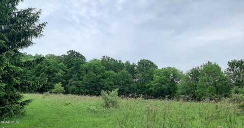 000 Sunset View Lane, Portage, PA 15946