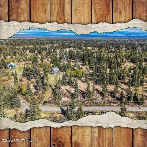 21572 Twilight Street, Ninilchik, AK 99639