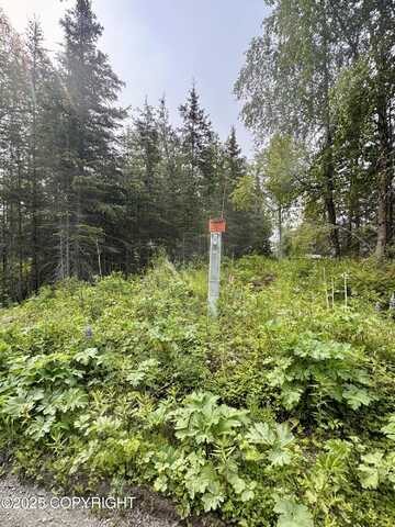 Nhn Mark Boulevard, Kenai, AK 99611