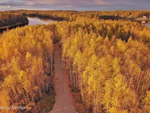 Unit 2 N Red Shirt Drive, Willow, AK 99688