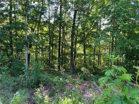 Lot 14 St Austell CIR, Bella Vista, AR 72714