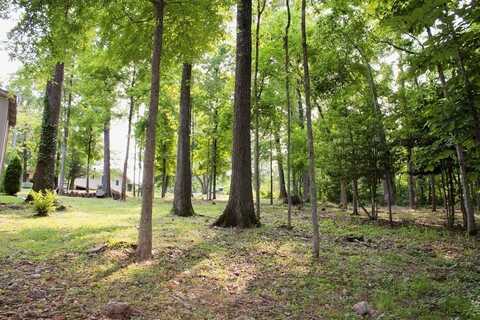 Lots 58 & 59 Hartsfield LN, Bella Vista, AR 72715